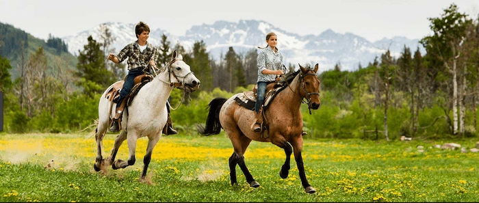 Confident plus-size woman riding Colchester a horse through a field with a smile on her face.